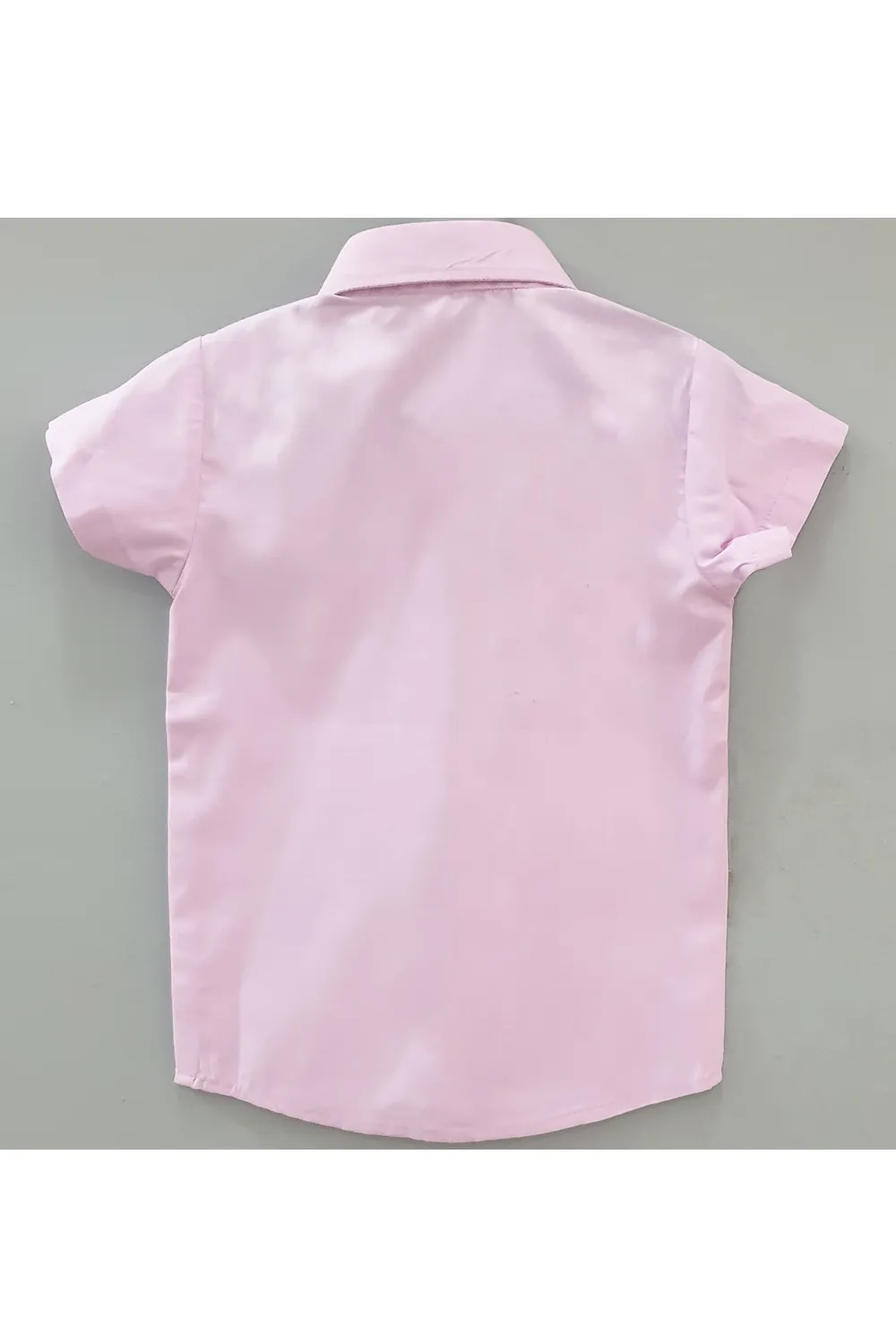 Animal embroidred lavender short sleeves shirt