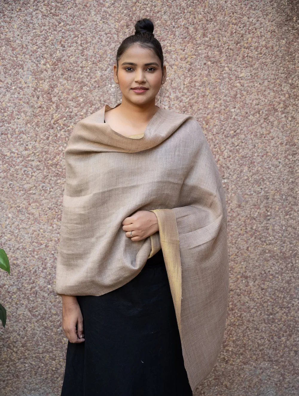 Exclusive Pure Pashmina Wool & Zari Reversible Kashmiri Stole - Beige & Dull Gold