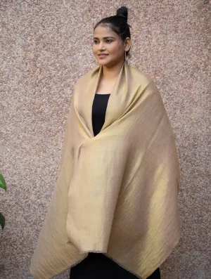 Exclusive Pure Pashmina Wool & Zari Reversible Kashmiri Stole - Beige & Dull Gold