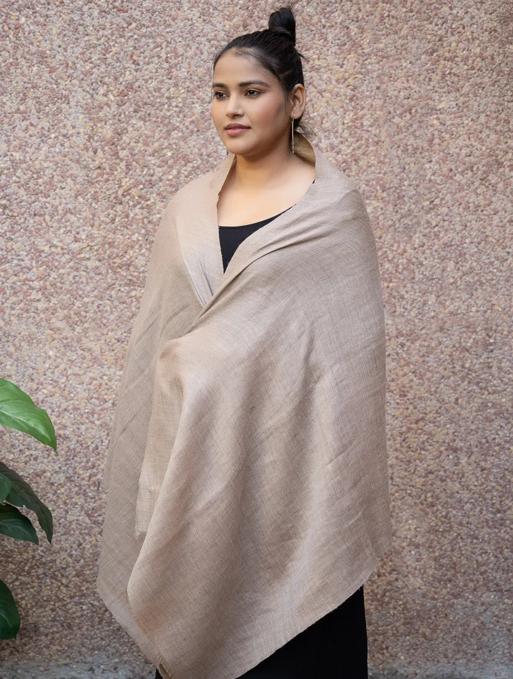 Exclusive Pure Pashmina Wool & Zari Reversible Kashmiri Stole - Beige & Dull Gold