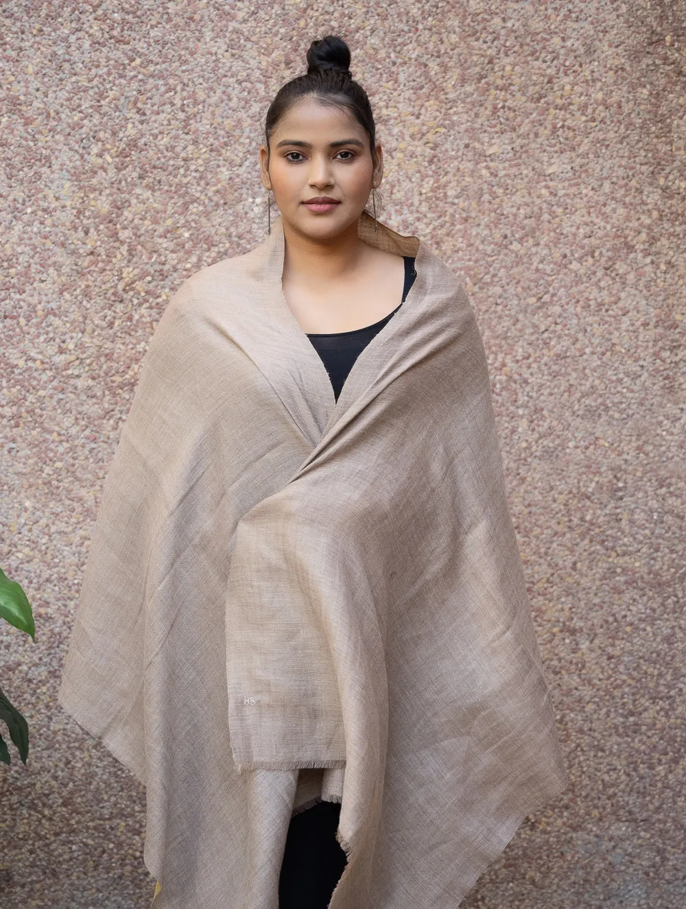 Exclusive Pure Pashmina Wool & Zari Reversible Kashmiri Stole - Beige & Dull Gold
